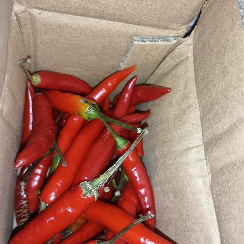 食用農(nóng)產(chǎn)品批發(fā)市場的當(dāng)月熱門品種與包裝方式分析
